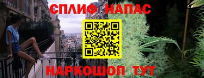 дмт Краснодар